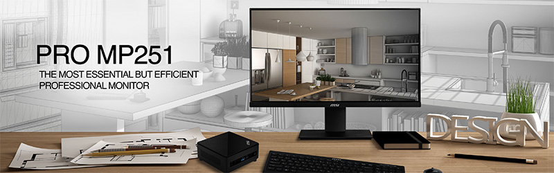 Màn hình MSI PRO MP2451 24.5 Inch IPS 100Hz
