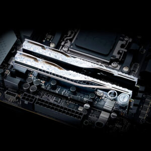 RAM PC G.SKILL Trident Z5 Royal Neo RGB 48GB 8000MHz DDR5 (2x24GB) F5-8000J4048G24GX2-TR5NS