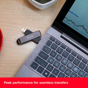 USB 3.2 Sandisk Extreme Pro Dual Drive Type-C 512GB 1000MB/s SDDDE1-512G-G46