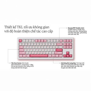 Bàn phím cơ không dây AKKO 5087 V3 RGB Hotswap (AKKO Sw)