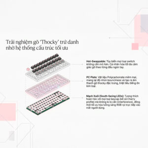 Bàn phím cơ không dây AKKO 5087 V3 RGB Hotswap (AKKO Sw)