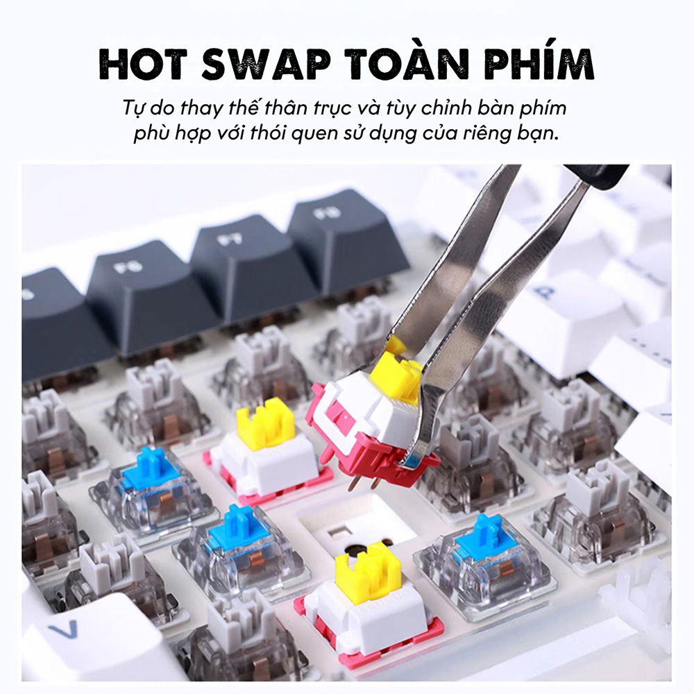 ban-phim-co-aula-f87-rgb-hotswap-leobog-sw-07 Bàn phím cơ AULA F87 RGB Hotswap (Leobog Sw)