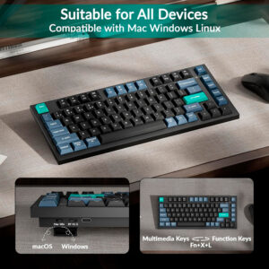 Bàn phím không dây Keychron B31 Silent Wireless