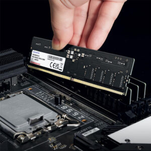 RAM PC ADATA 16G 5600MHz DDR5 UDIMM AD5U560016G-S